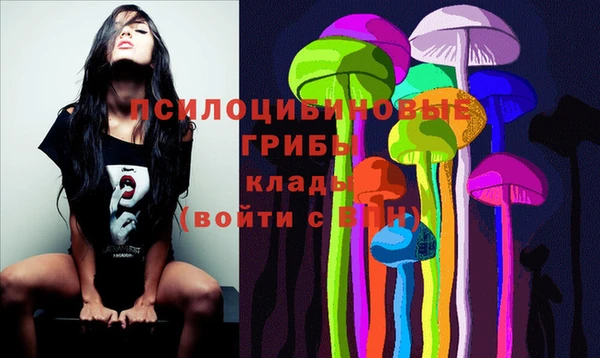 твердый Костерёво