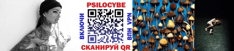 купить закладку  Красногорск  Псилоцибиновые грибы GOLDEN TEACHER 